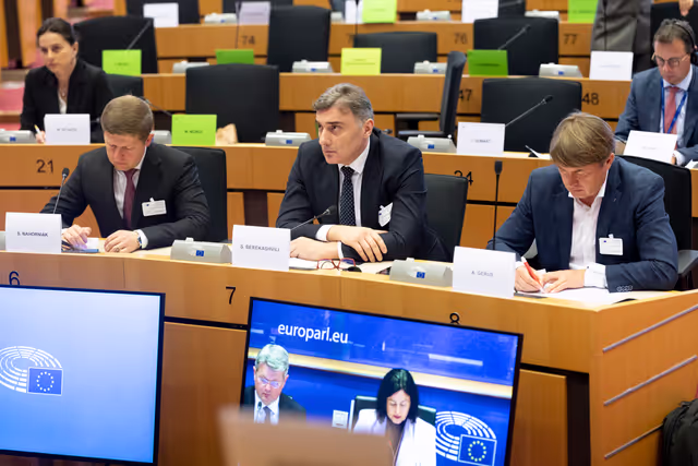 Photo 22: ITRE Committee meeting - Energy Community Parliamentary Plenum