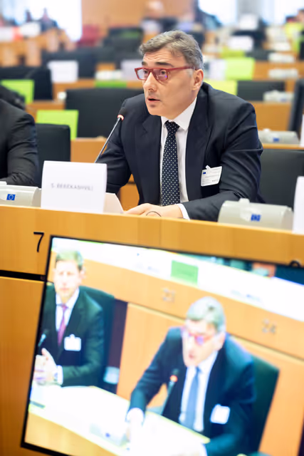 Photo 16: ITRE Committee meeting - Energy Community Parliamentary Plenum