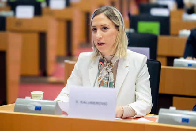 Photo 6: ITRE Committee meeting - Energy Community Parliamentary Plenum