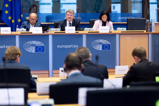 ITRE Committee meeting - Energy Community Parliamentary Plenum