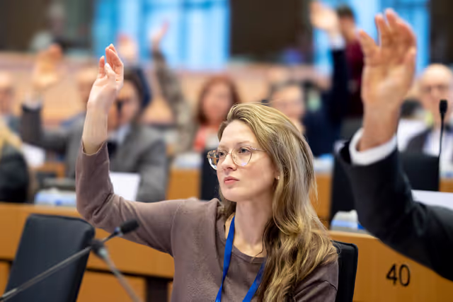 Fotogrāfija 3: ITRE committee: Vote on European Defence Indusry Programme (EDIP) and on Gas storage-securing gas supplies ahead of winter