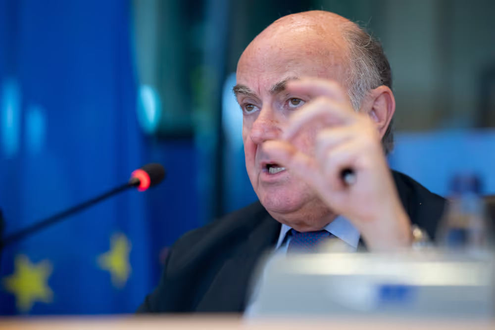 ECON - Exchange of views following the presentation of the 2024 Annual Report by ECB Vice-President, Luis De Guindos