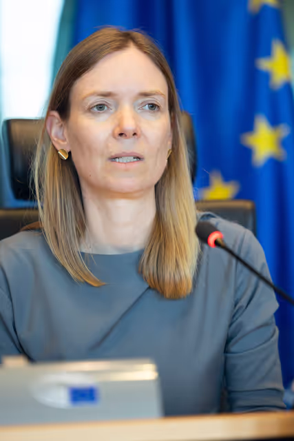 Photo 30 : IMCO Committee