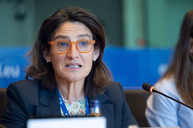 Photo 21 : IMCO Committee