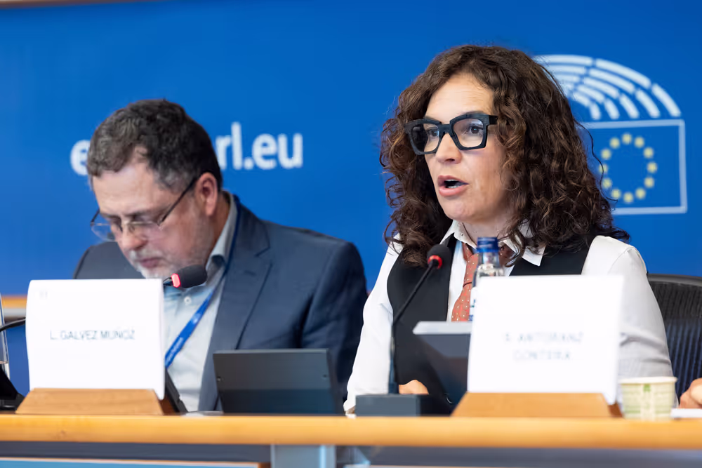 STOA Workshop - Generative AI and scientific development