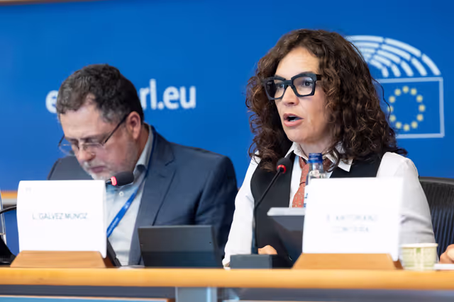 Foto 23: STOA Workshop - Generative AI and scientific development