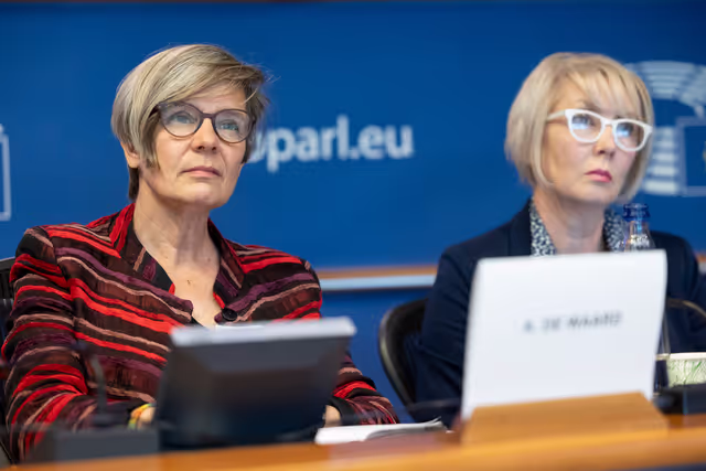 Foto 13: STOA Workshop - Generative AI and scientific development