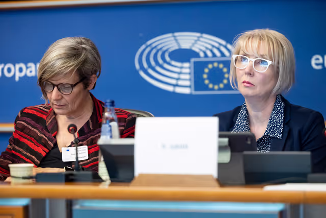 Foto 11: STOA Workshop - Generative AI and scientific development