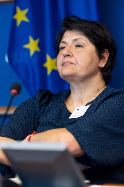 Foto 10: STOA Workshop - Generative AI and scientific development