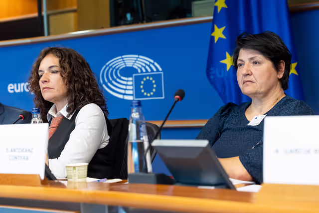 Foto 8: STOA Workshop - Generative AI and scientific development