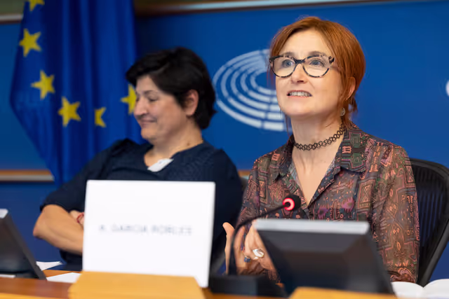 Foto 6: STOA Workshop - Generative AI and scientific development