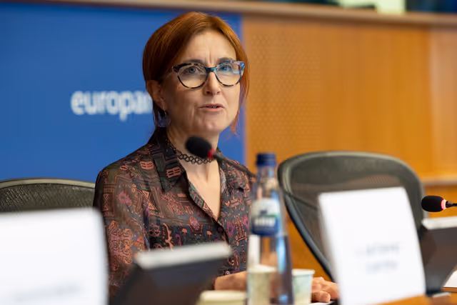 Foto 3: STOA Workshop - Generative AI and scientific development