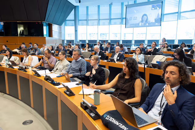 Foto 18: STOA Workshop - Generative AI and scientific development