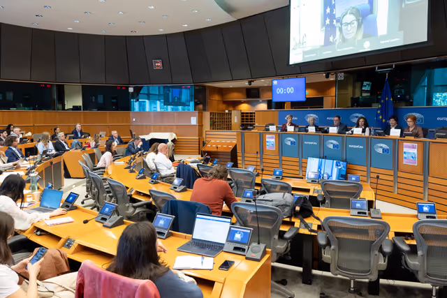 Foto 1: STOA Workshop - Generative AI and scientific development