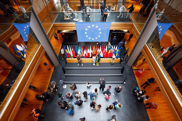 Billede 9: Europe Day 2025