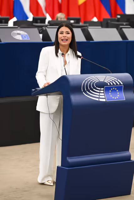 Φωτογραφία 29: EP Plenary session - 2023 and 2024 reports on Türkiye