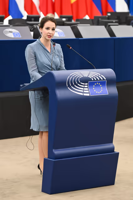 Φωτογραφία 17: EP Plenary session - 2023 and 2024 reports on Türkiye