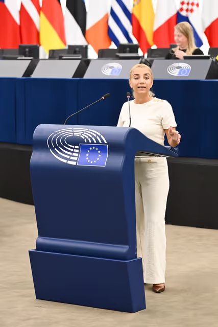 Φωτογραφία 15: EP Plenary session - 2023 and 2024 reports on Türkiye