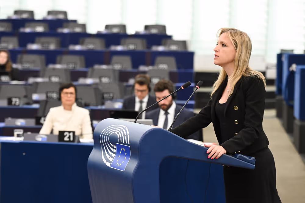 EP Plenary session - 2023 and 2024 reports on Türkiye