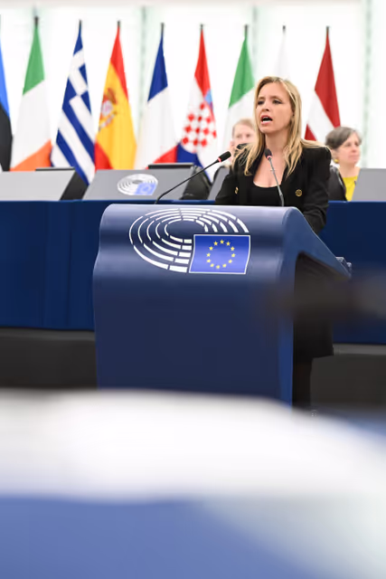 Φωτογραφία 11: EP Plenary session - 2023 and 2024 reports on Türkiye