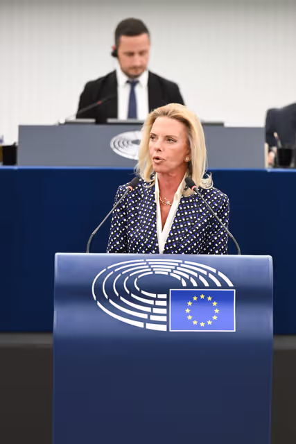 Φωτογραφία 7: EP Plenary session - 2023 and 2024 reports on Türkiye