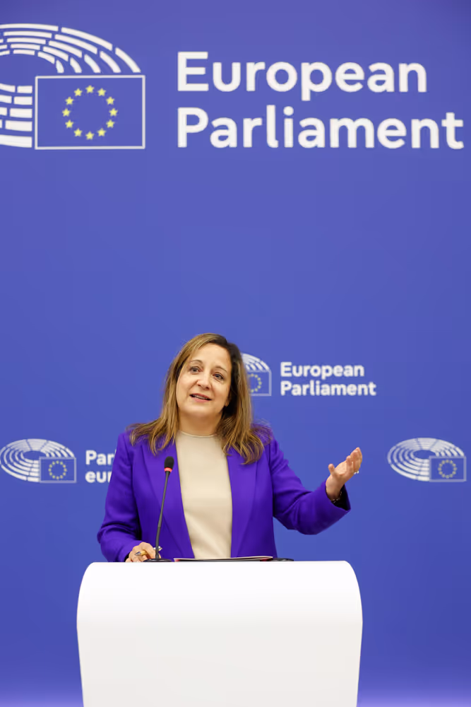 Press briefing S&D Group