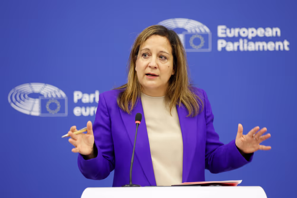 Press briefing S&D Group