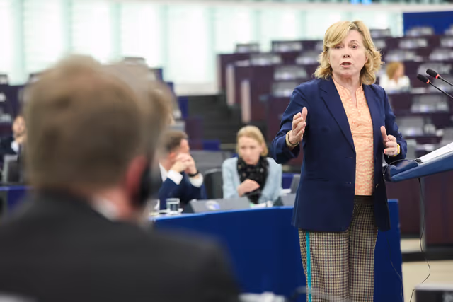 EP Plenary session - Resilience and the need to improve the interconnection of energy grid infrastructure in the EU