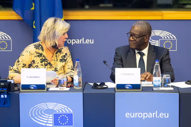 Delegation to the Africa-EU Parliamentary Assembly - Exchange of views on Sharing international responsibility for protecting victims of sexual violence in the Democratic Republic of Congo