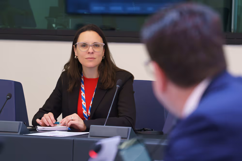 Minority Intergroup meeting