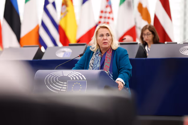 Valokuva 24: EP Plenary session - Old challenges and new commercial practices in the internal market