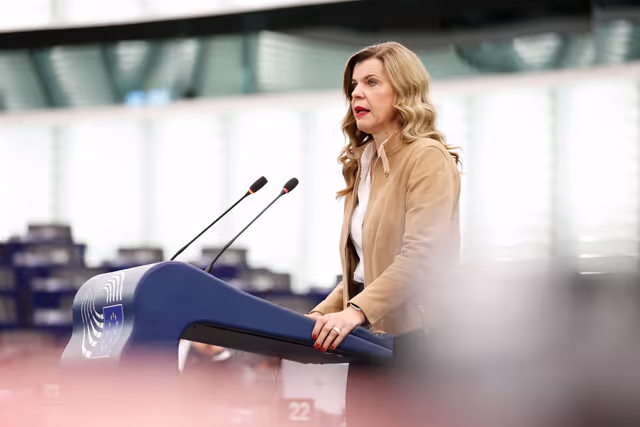 Valokuva 15: EP Plenary session - Old challenges and new commercial practices in the internal market