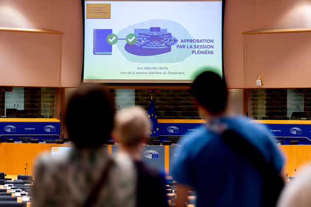 Photo 24: Europe Day 2025 in Brussels