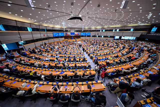 Fotografia 16: Europe Day 2025 in Brussels