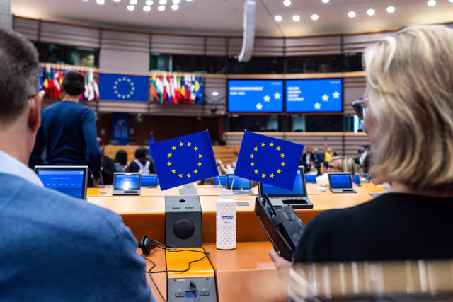 Fotografia 31: Europe Day 2025 in Brussels