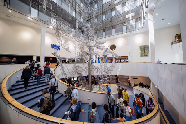 Photo 36: Europe Day 2025 in Brussels