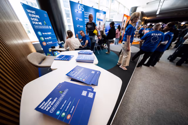 Photo 33: Europe Day 2025 in Brussels