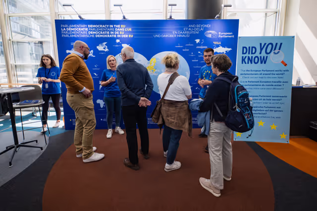 Photo 31: Europe Day 2025 in Brussels