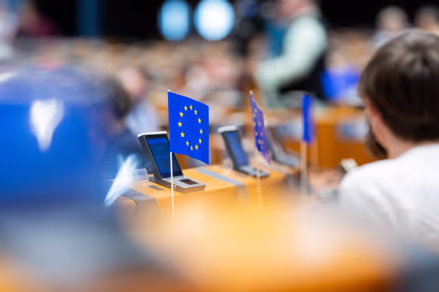 Fotografia 27: Europe Day 2025 in Brussels