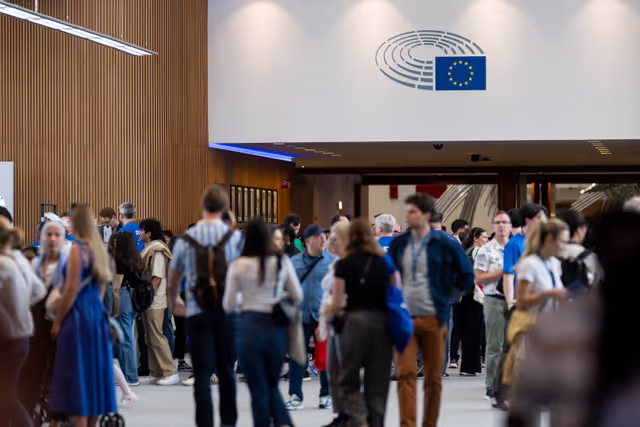 Photo 28: Europe Day 2025 in Brussels