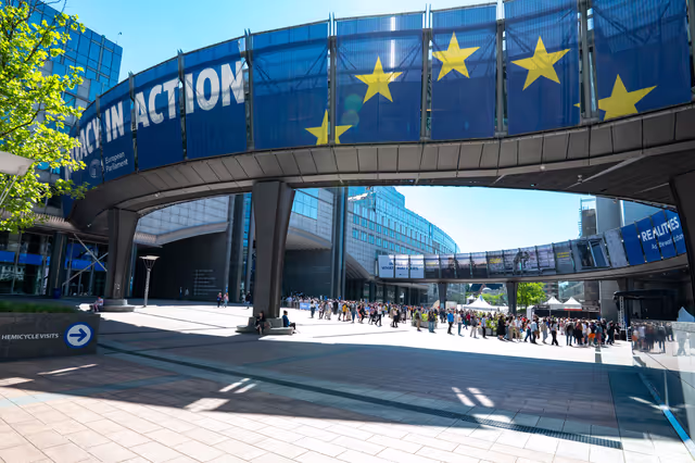 Fotografija 12: Europe Day 2025 in Brussels