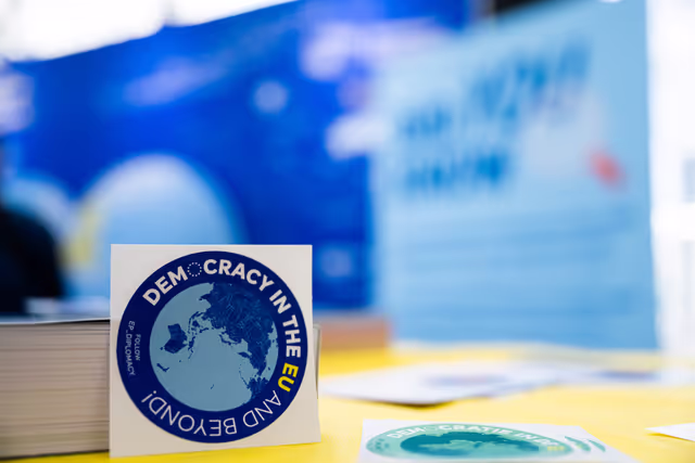 Photo 25: Europe Day 2025 in Brussels