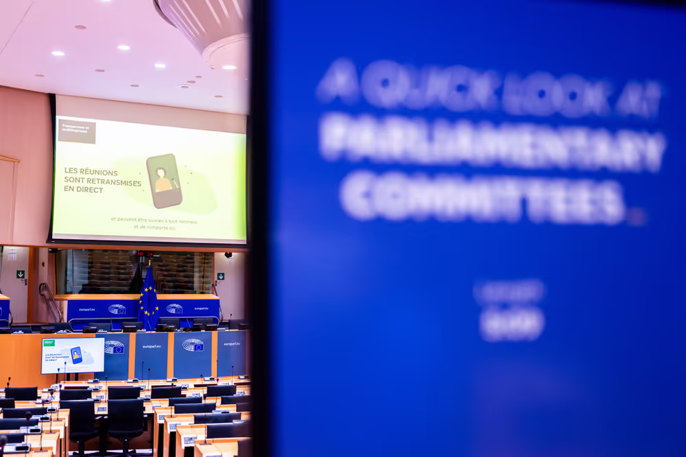 Europe Day 2025 in Brussels