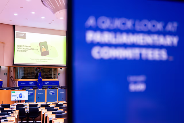 Photo 2: Europe Day 2025 in Brussels