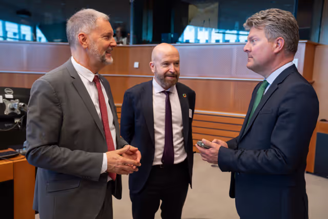 Снимка 34: 44th EU-Switzerland Interparliamentary meeting