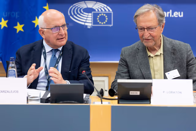 Suriet 17: LIBE - Addressing the root causes of missing persons in the EU