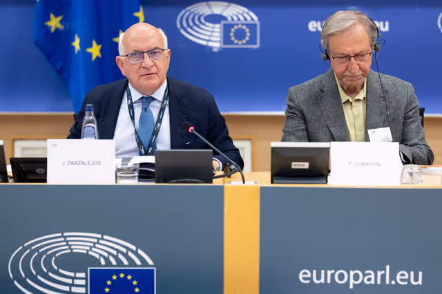 Suriet 15: LIBE - Addressing the root causes of missing persons in the EU