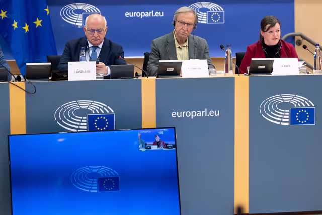 Suriet 11: LIBE - Addressing the root causes of missing persons in the EU