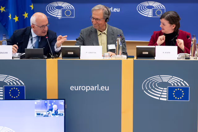 Suriet 8: LIBE - Addressing the root causes of missing persons in the EU