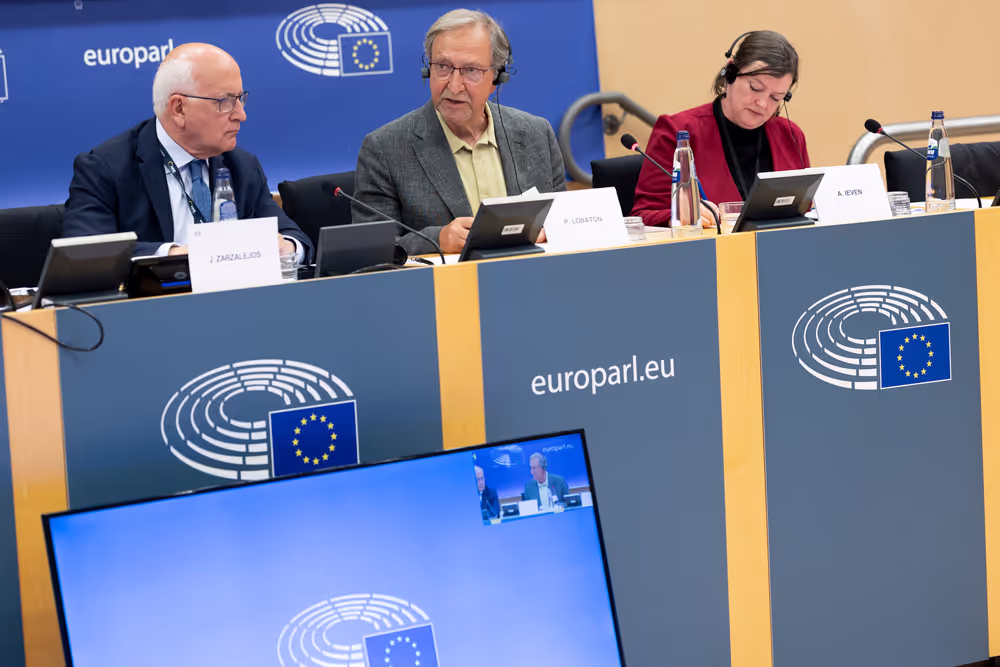 LIBE - Addressing the root causes of missing persons in the EU